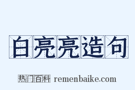 白亮亮造句是什么意思的图片